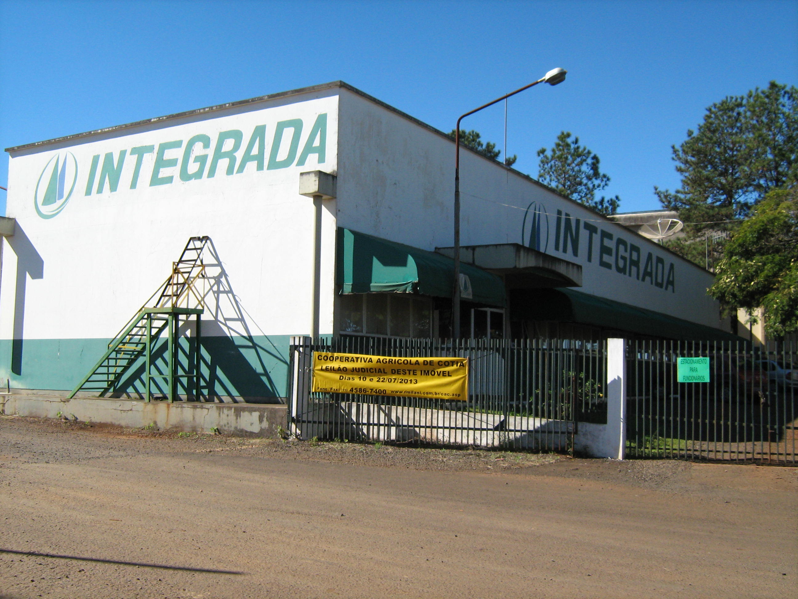 Maua