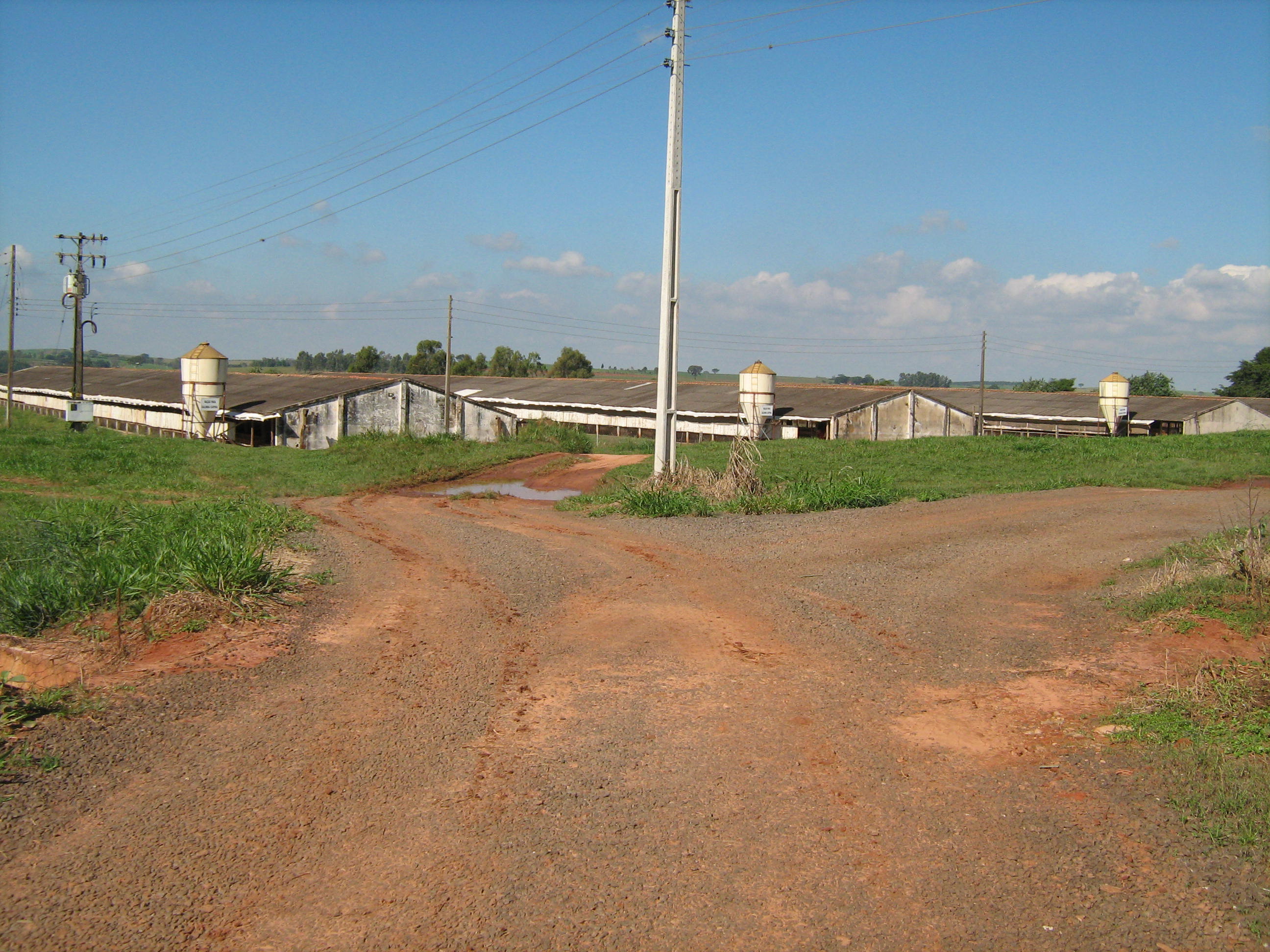 Rinopolis