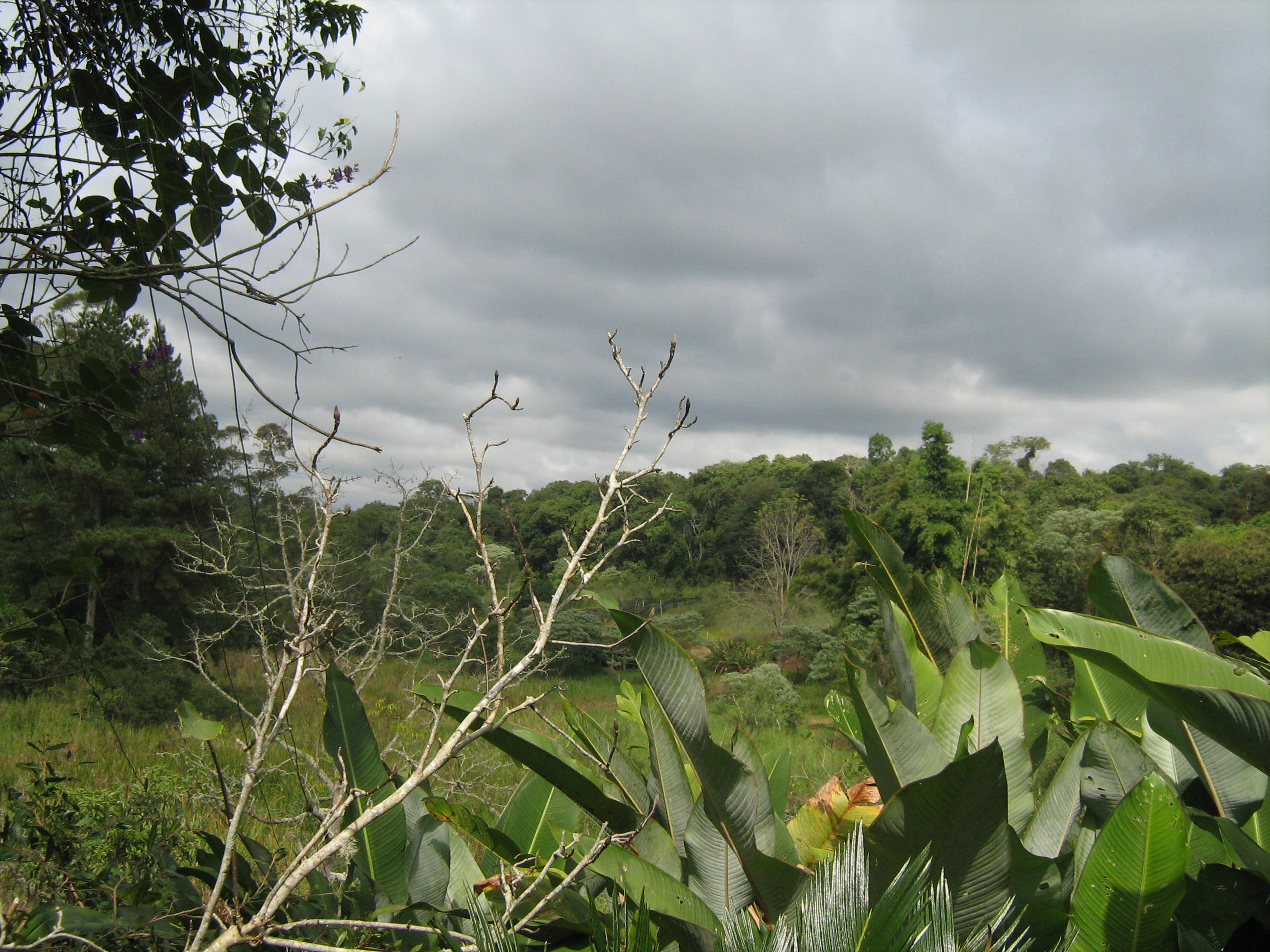 São Roque